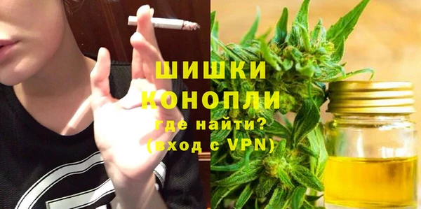 сатива Алексин