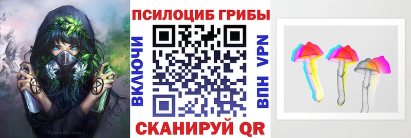 Галлюциногенные грибы GOLDEN TEACHER  закладки  Апшеронск 